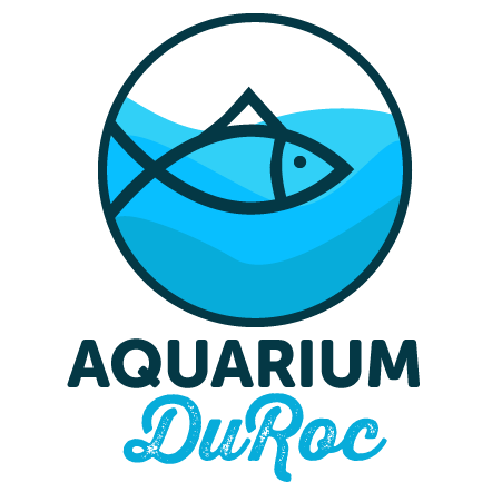 aquarium-du-roc.com